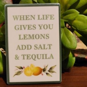 MAGNET 'When Life Gives You Lemons Add Salt & Tequila' NWT